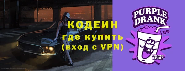 прущие крисы Бородино