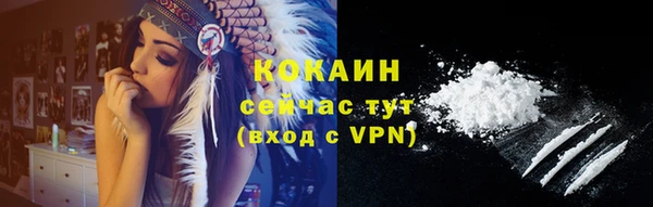 прущие крисы Бородино