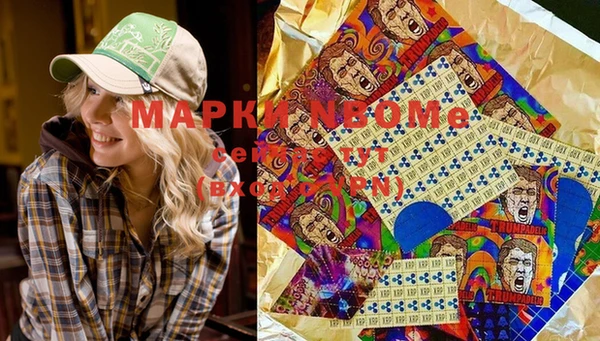 прущие крисы Бородино