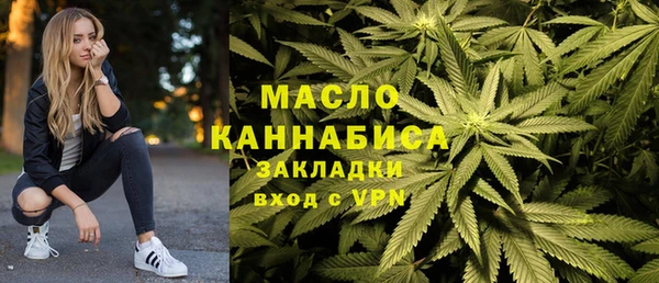 индика Струнино