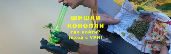 прущие крисы Бородино