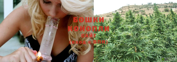 прущие крисы Бородино