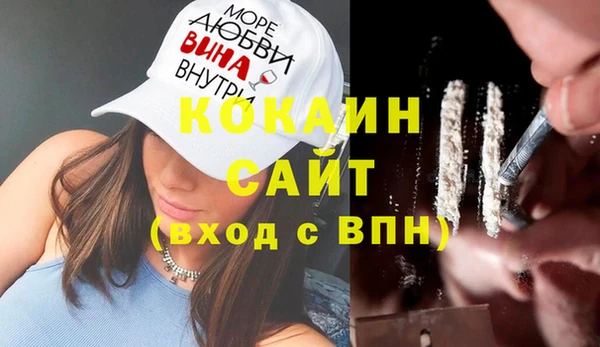 прущие крисы Бородино