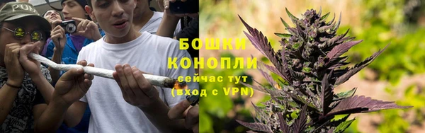 прущие крисы Бородино